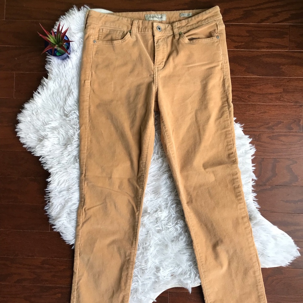 ❤️ Calvin Klein Corduroy Khaki Pants - 8